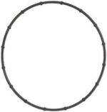 Power Brake Booster Vacuum Pump Seal