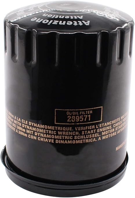61hl-UVzr2L._AC_SX466_ NewYall Engine Oil Filter for Maserati Quattroporte Granturismo 2007-2013 GranCabrio 2007-2012 for Ferrari FF 2011-2016 - Image 1